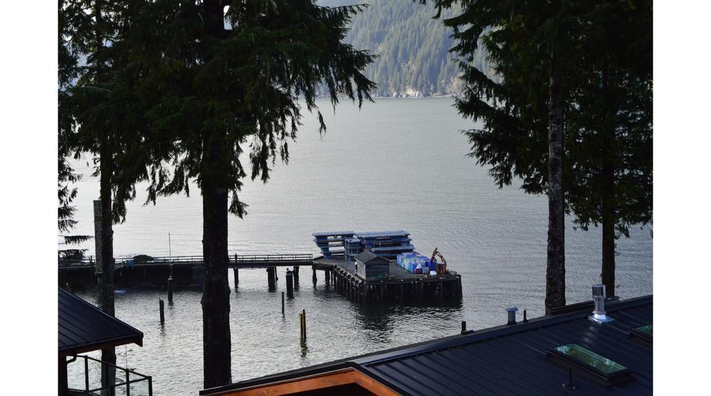 Pair-A-Dice Cottage Port Renfrew Room photo